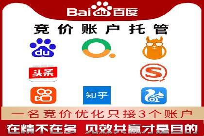 sem百度竞价实战：成功案例解析